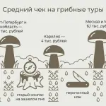 Грибные туры в России: спрос вырос на 24% за год